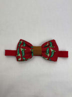 Flugor Röd Grön Fågel