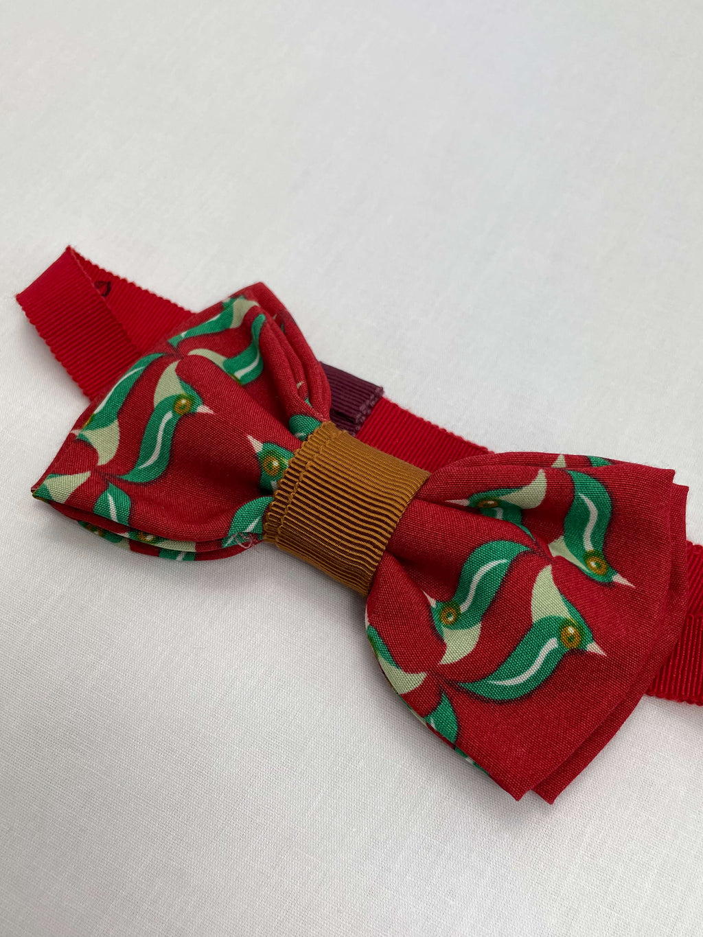 Flugor Röd Grön Fågel