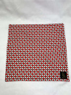 Näsduk RödVit Mönster